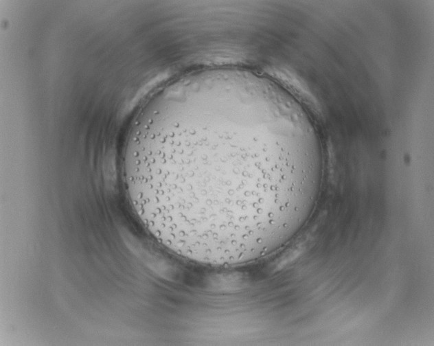 X0000074310202200609152015