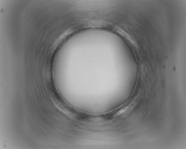 X0000074310203200609152015