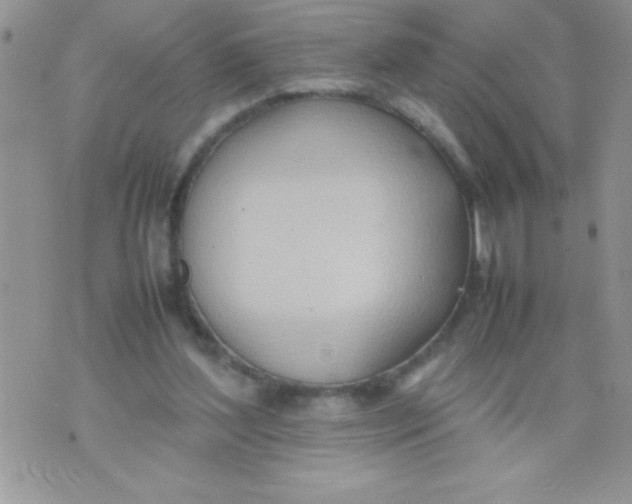 X0000074310204200609152015