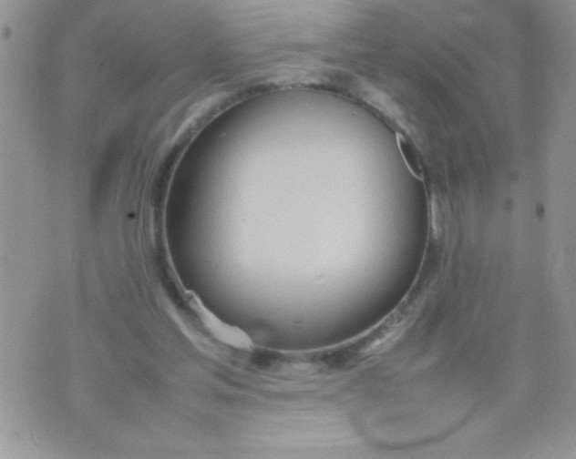 X0000074310205200609152015