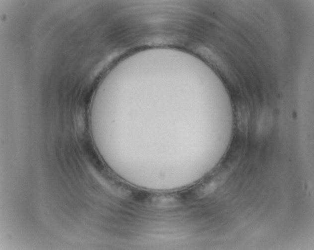 X0000074310208200609152015