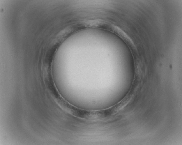 X0000074310209200609152015