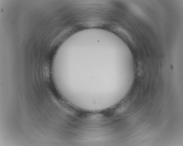 X0000074310210200609152015