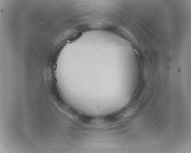 X0000074310211200609152015