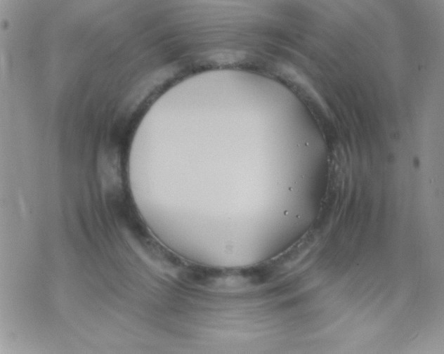 X0000074310212200609152015