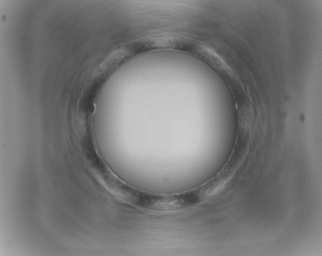 X0000074310213200609152015