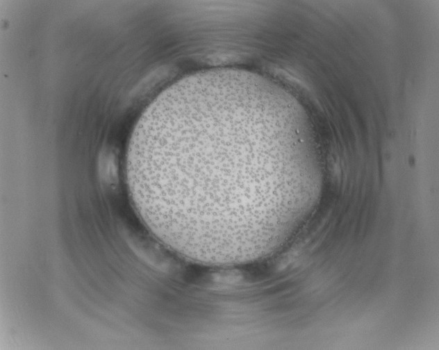 X0000074310214200609152015