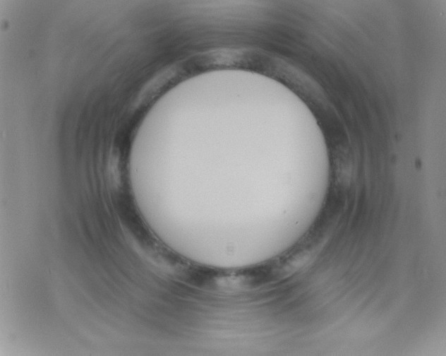 X0000074310216200609152015