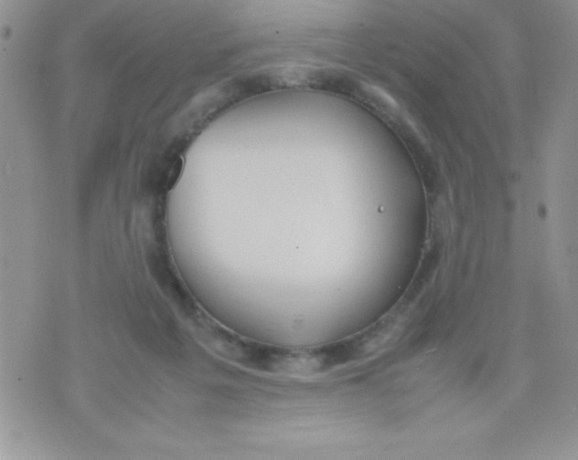 X0000074310217200609152015