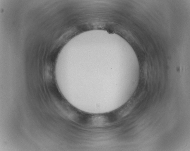 X0000074310218200609152015