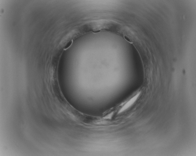 X0000074310219200609152015