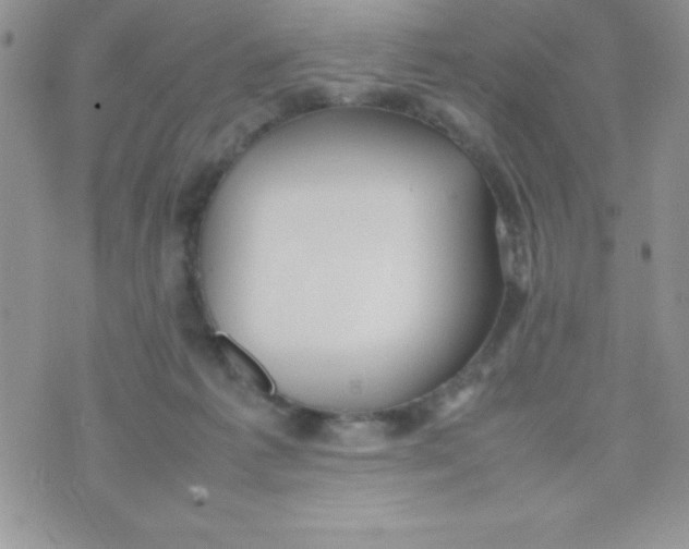 X0000074310221200609152015