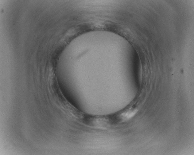 X0000074310223200609152015