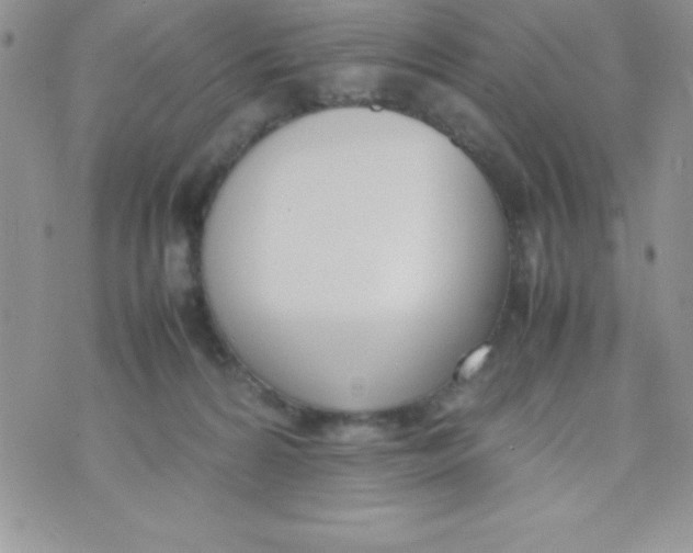 X0000074310224200609152015