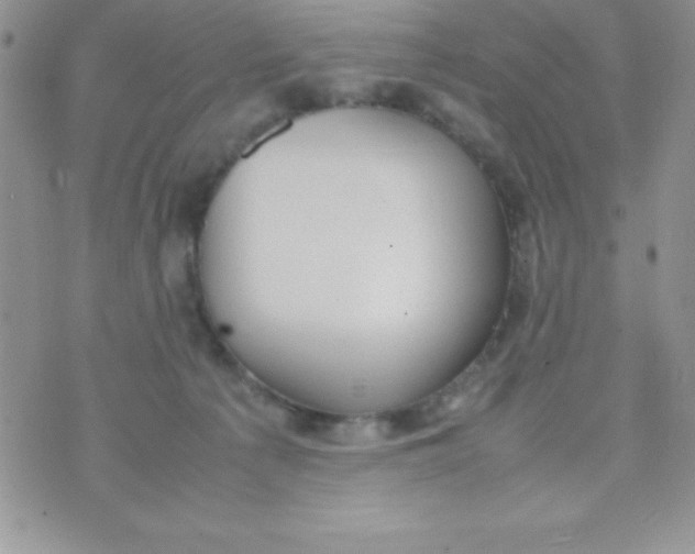 X0000074310225200609152015