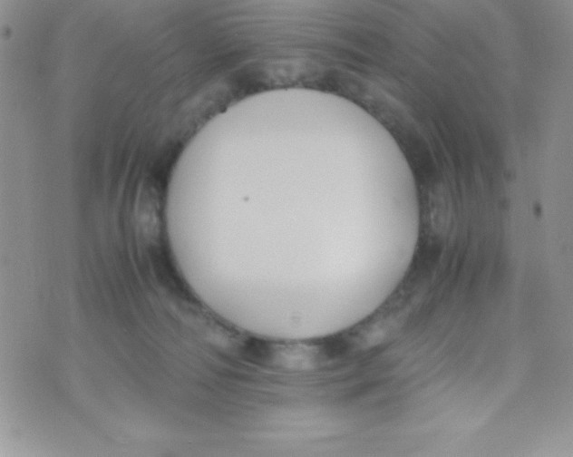 X0000074310226200609152015