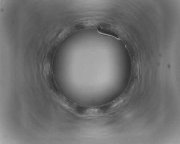 X0000074310227200609152015