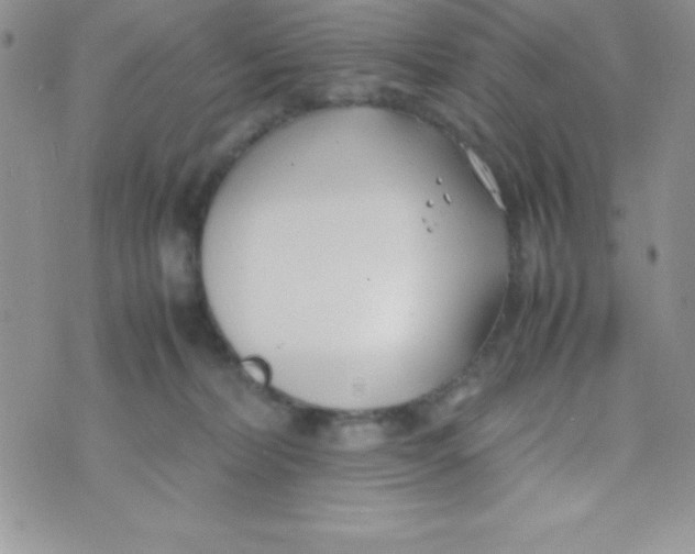 X0000074310228200609152015