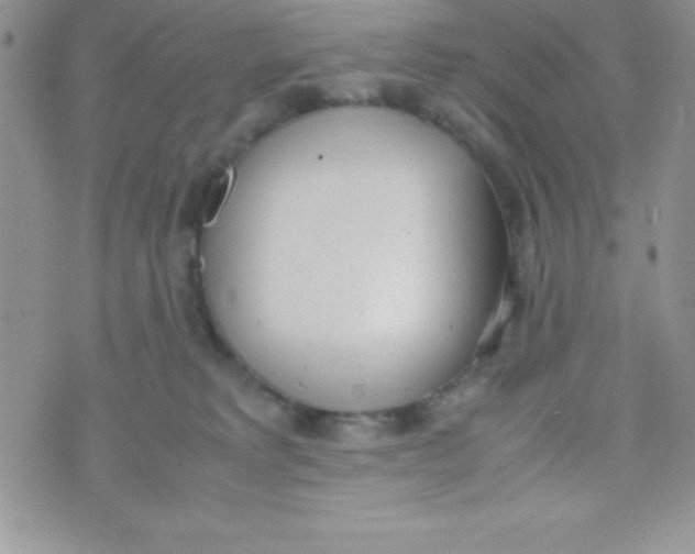 X0000074310229200609152015