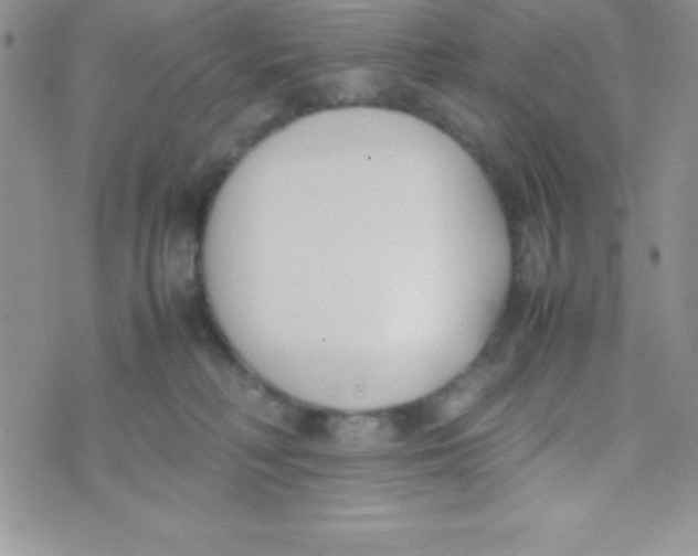 X0000074310230200609152015