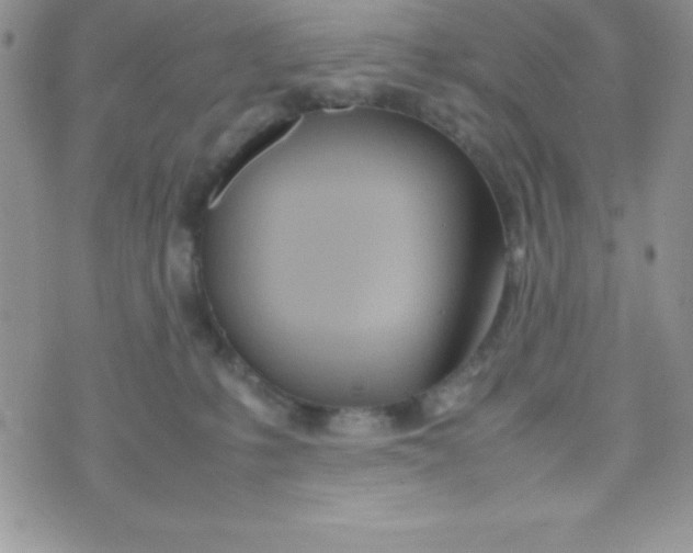 X0000074310231200609152015