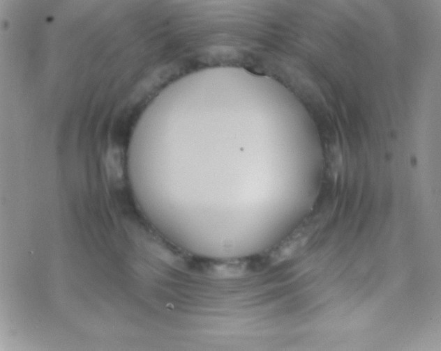 X0000074310232200609152015