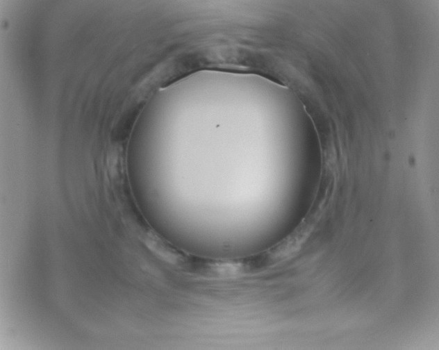 X0000074310233200609152015