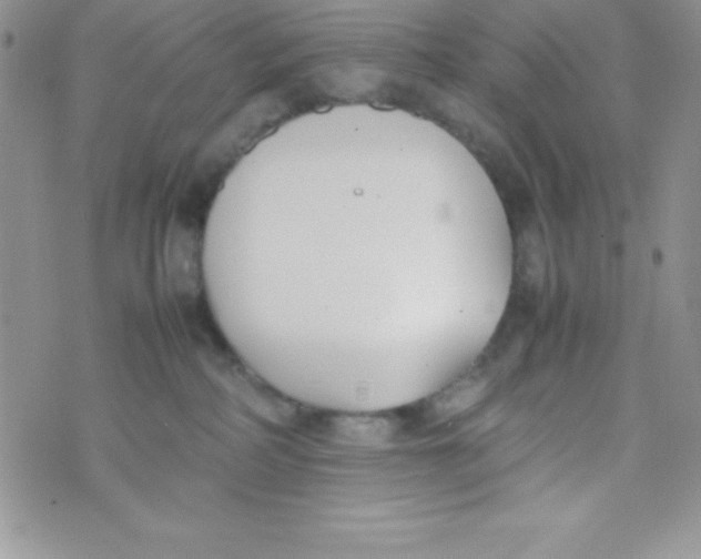 X0000074310234200609152015