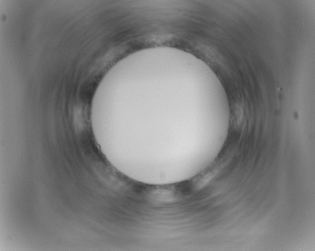 X0000074310236200609152015