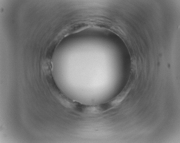 X0000074310237200609152015