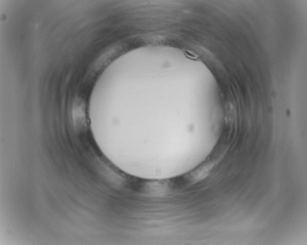 X0000074310238200609152015