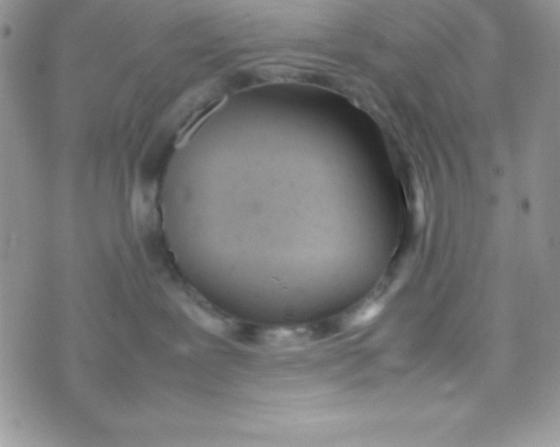 X0000074310239200609152015