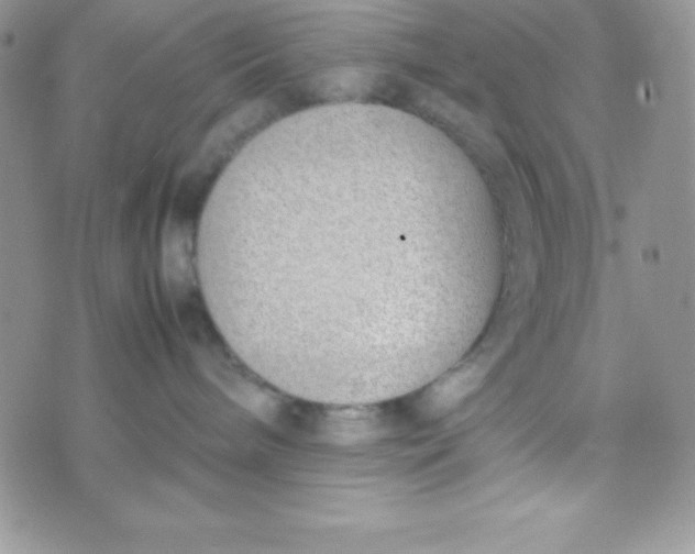 X0000074310240200609152015