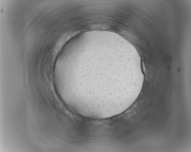 X0000074310241200609152014