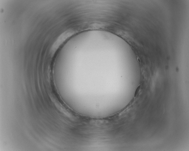 X0000074310242200609152014