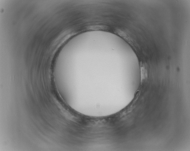 X0000074310243200609152014