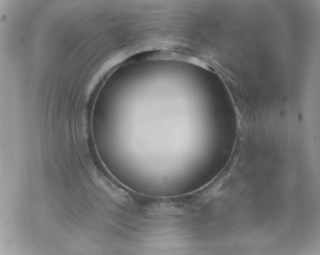 X0000074310244200609152014