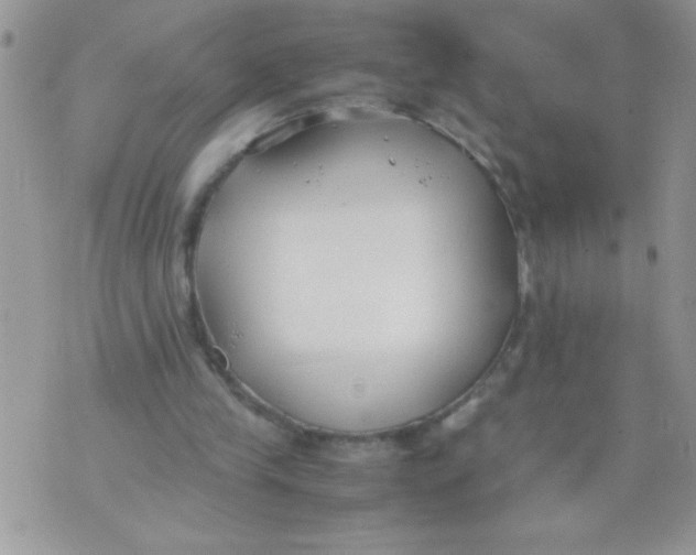 X0000074310245200609152014