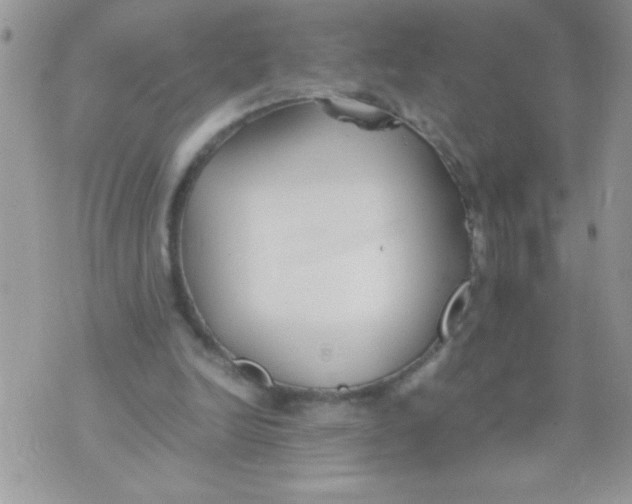 X0000074310246200609152014