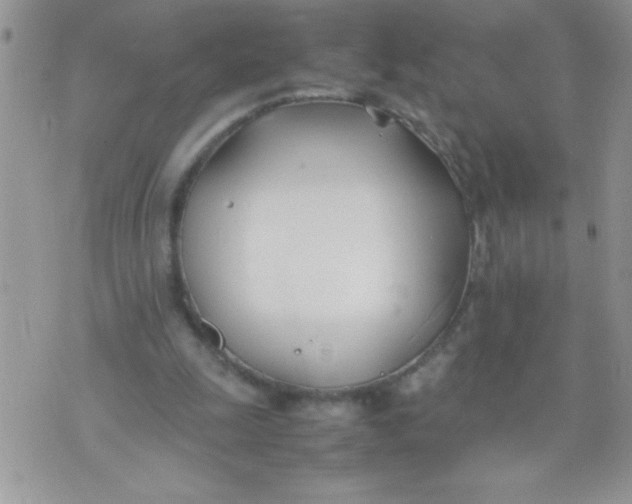 X0000074310247200609152014