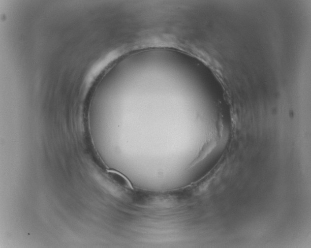 X0000074310248200609152014