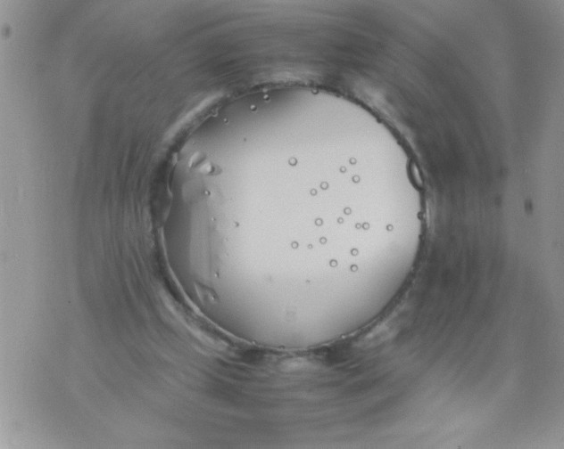 X0000074310249200609152014