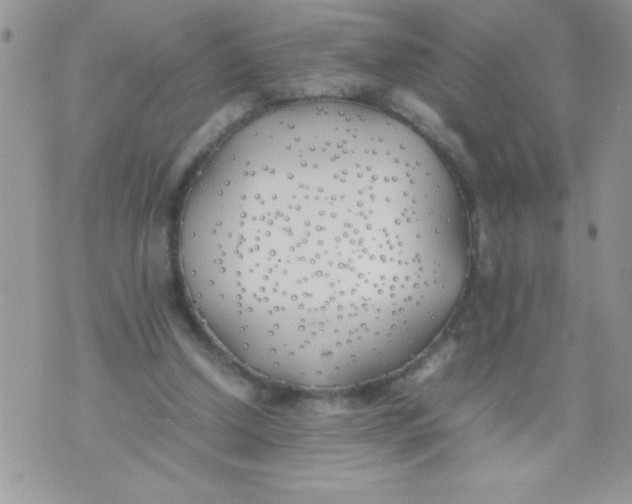 X0000074310250200609152014