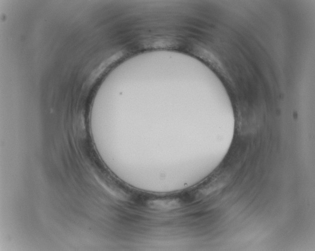 X0000074310251200609152014