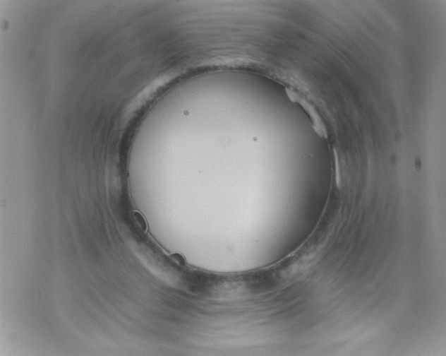 X0000074310252200609152014