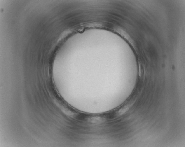 X0000074310253200609152014