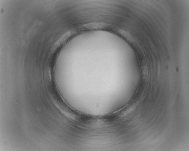 X0000074310254200609152014