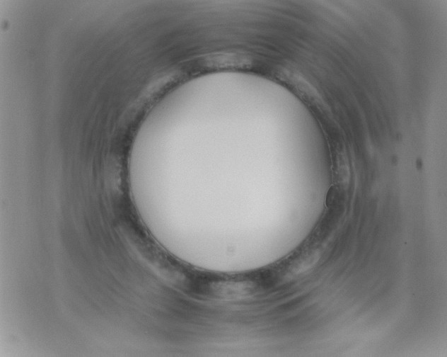 X0000074310255200609152014