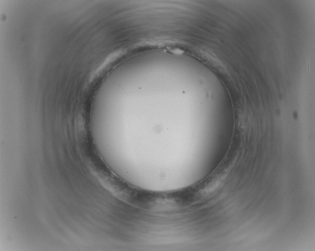 X0000074310256200609152014