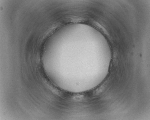 X0000074310257200609152014